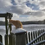 Angielska Dolina * Nidzica