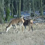 Сasa de vacaciones Angielska Dolina *