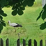 Angielska Dolina * Nidzica