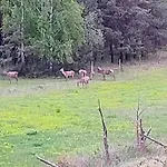 Angielska Dolina Nyaraló *