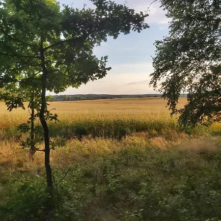 Angielska Dolina * Nidzica