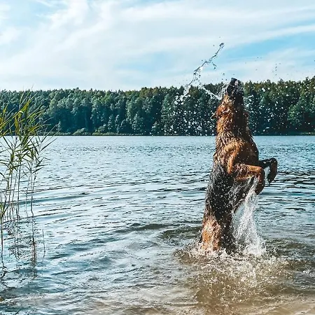 Angielska Dolina نيدزيتسا