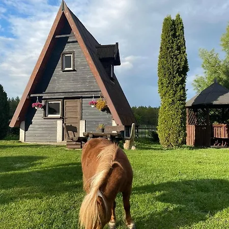 Angielska Dolina نيدزيتسا