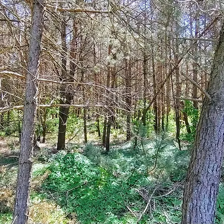 Angielska Dolina *