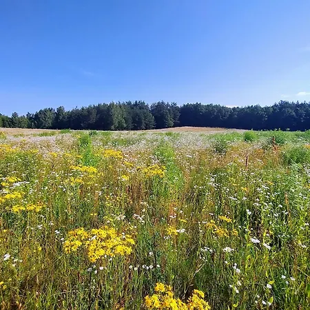 بيت للعطل Angielska Dolina *