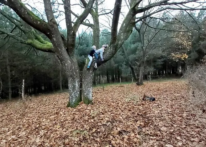 Angielska Dolina * Nidzica