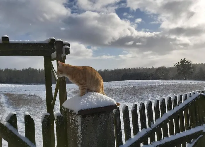 Angielska Dolina * Nidzica
