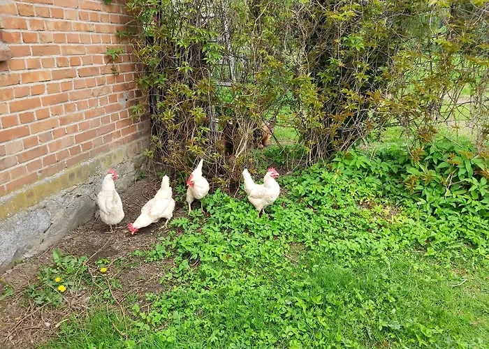 Angielska Dolina Casa vacanze