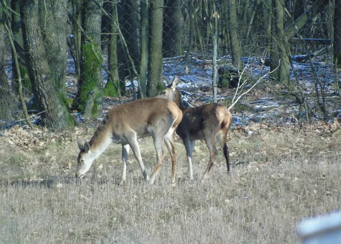 Casa vacanze Angielska Dolina *