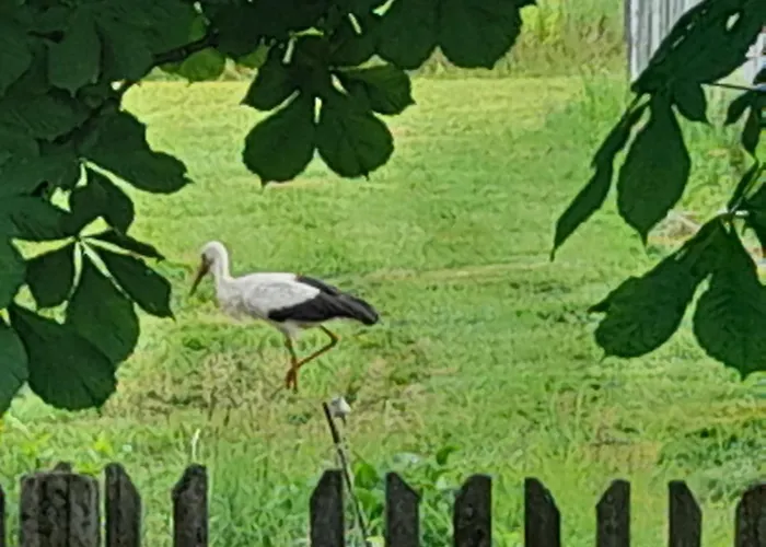 Angielska Dolina * Nidzica