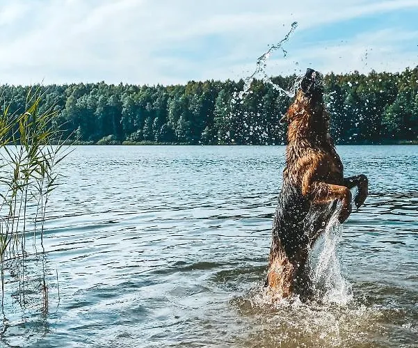 Angielska Dolina Nidzica
