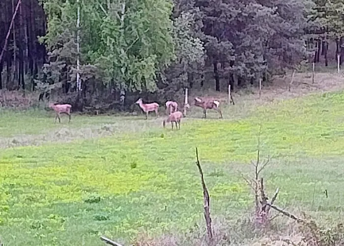 Angielska Dolina Casa vacanze *