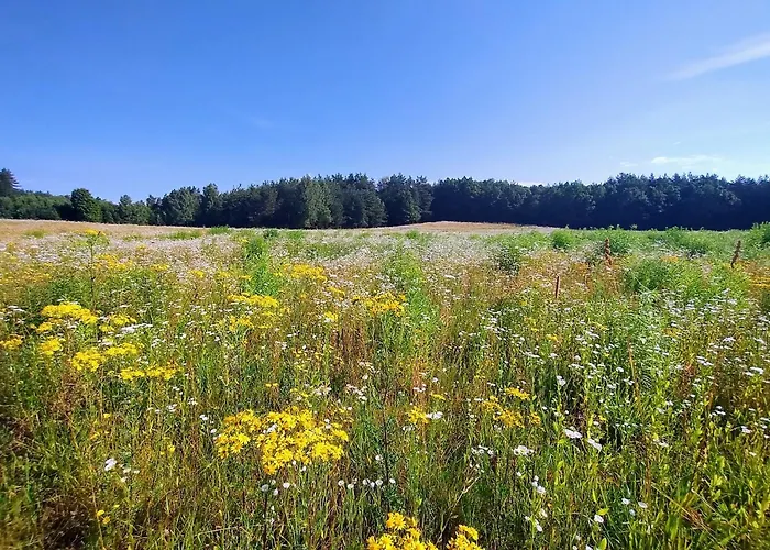 Casa vacanze Angielska Dolina *