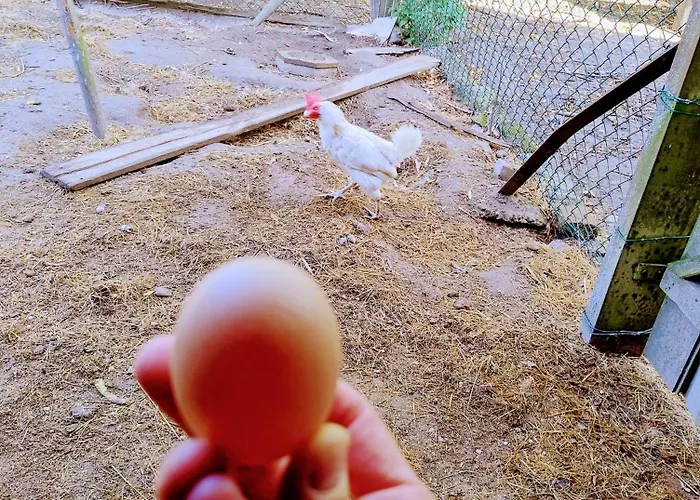 Angielska Dolina * Nidzica